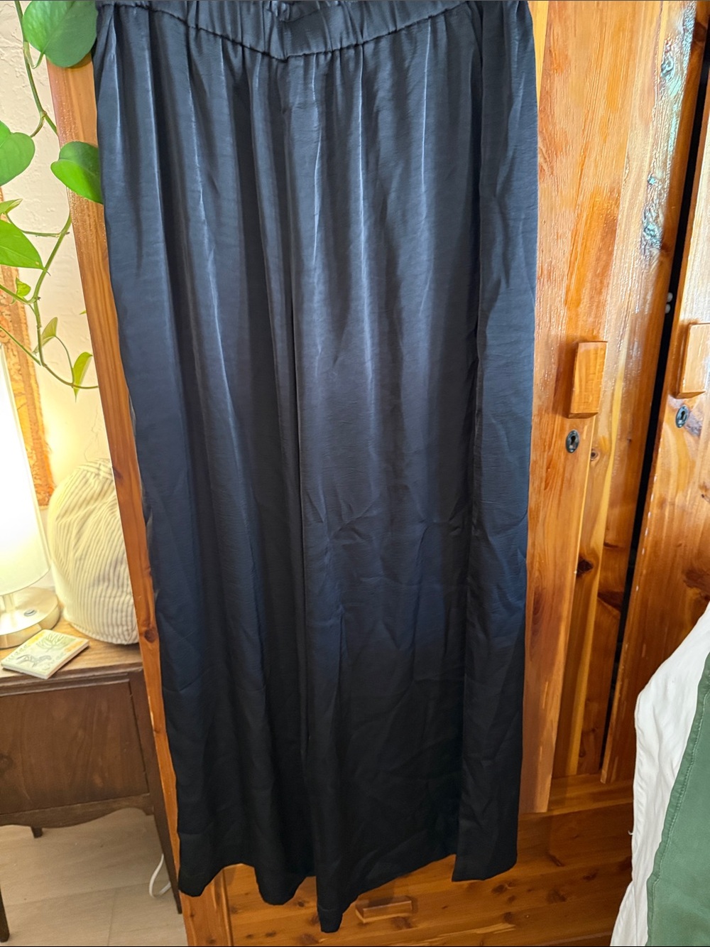 Z Supply Black Satin Pants with Elastic Waist